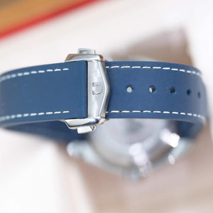 Omega Seamaster Planet Ocean Titanium 600m