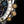Rolex Cosmograph Daytona 116523 Silver and Gold Oyster Bracelet with Gold Bezel